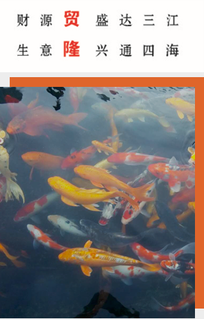 硼砂廠(chǎng)家,硼粉,硼石 硼砂廠(chǎng)家,硼粉,硼石